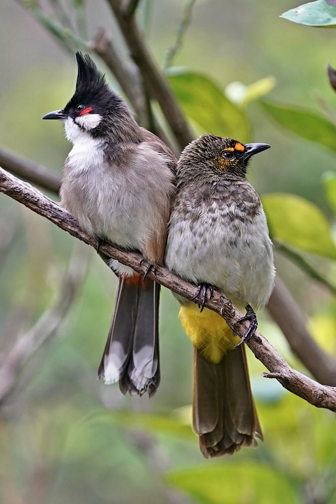 Photograph by Kan Chung Wong