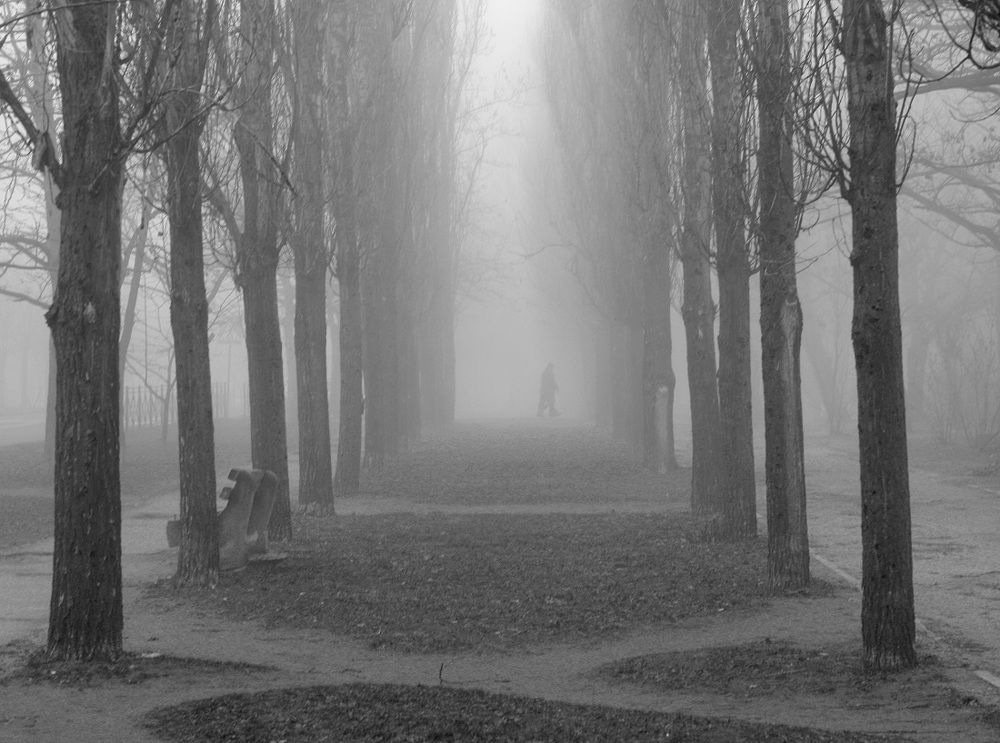 Photograph by Дмитрий Сырбу