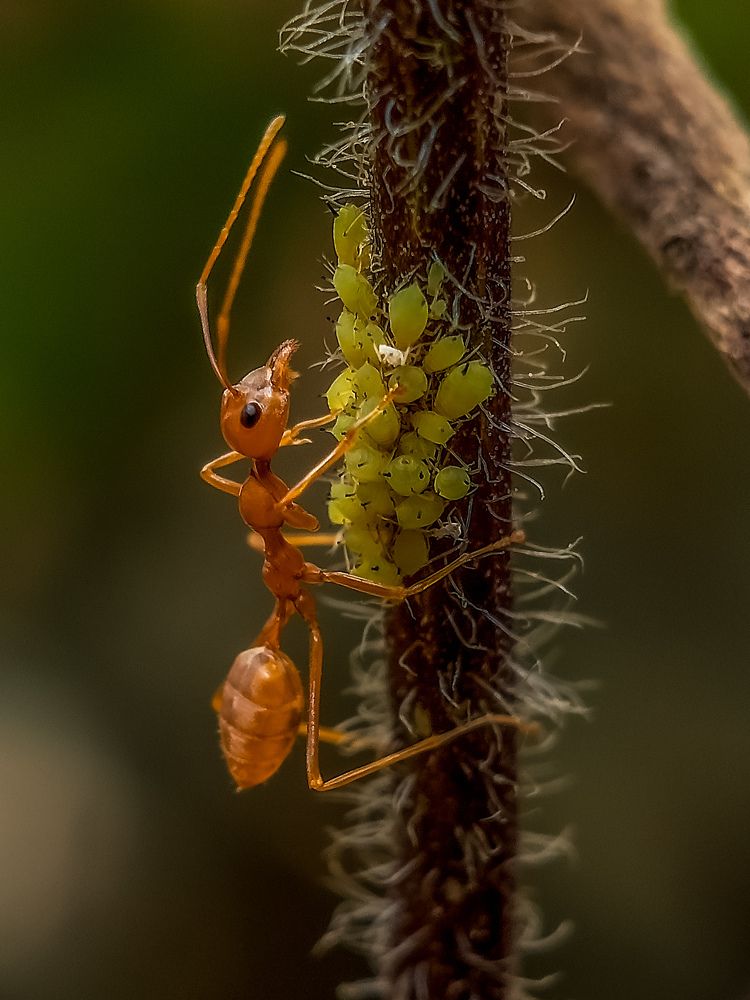 Photograph by Rahul Dey