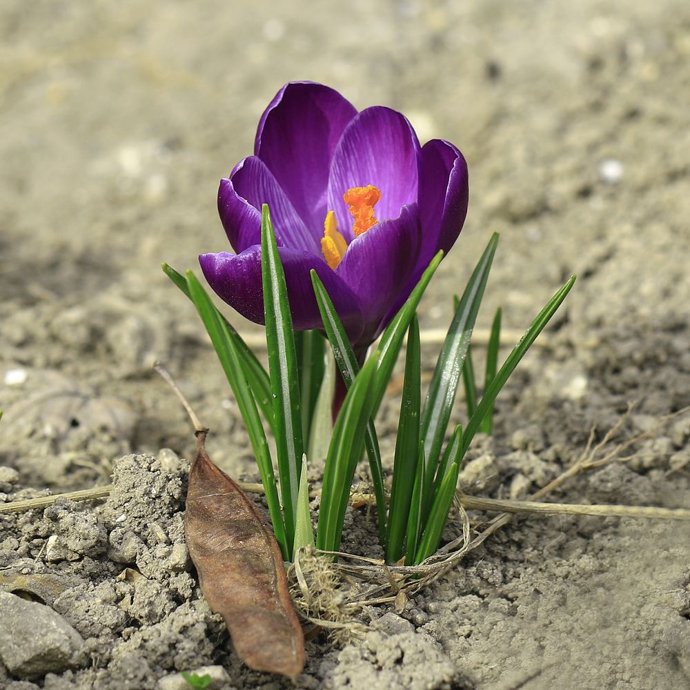 Photograph by Валерий Басыров