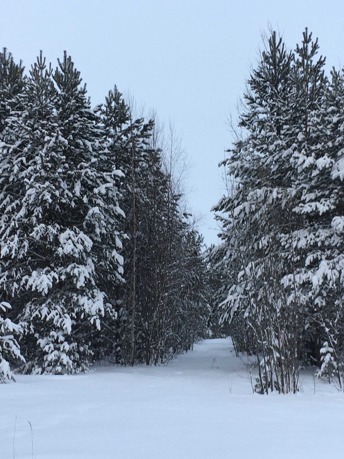 Photo #5958694