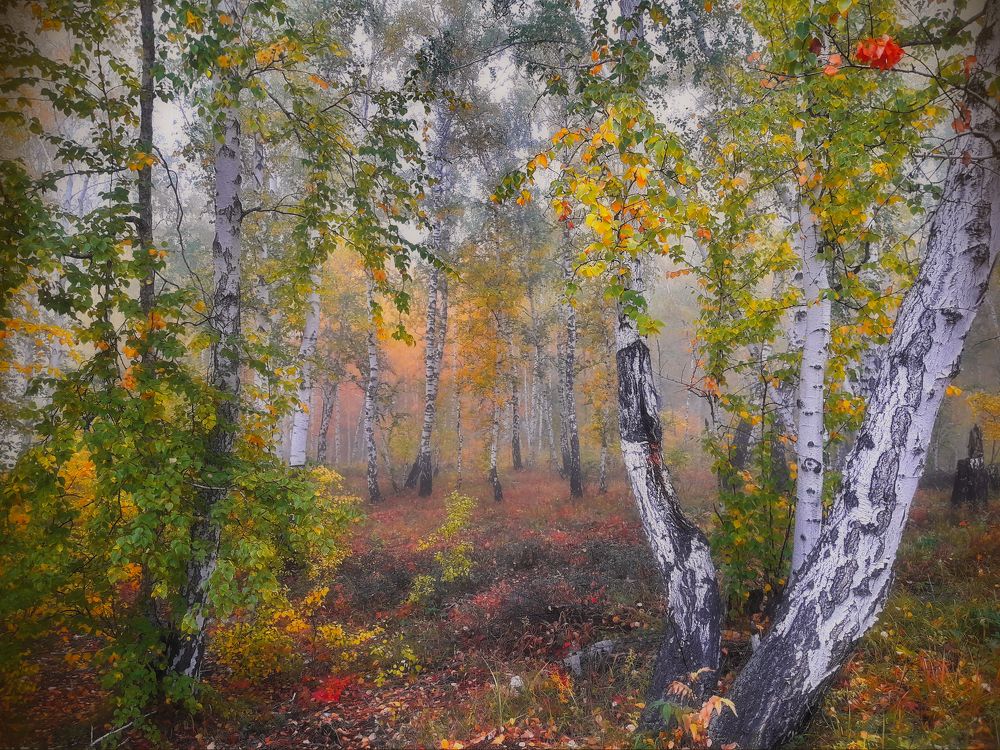 Photograph by Инаида