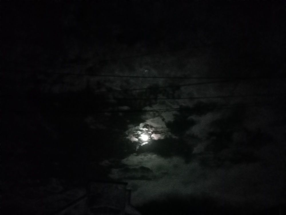 Photo #5958723