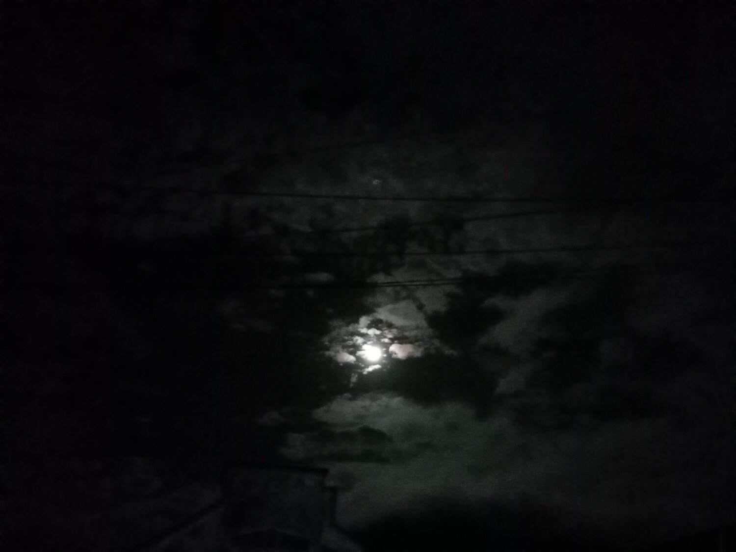 Photo #5958723