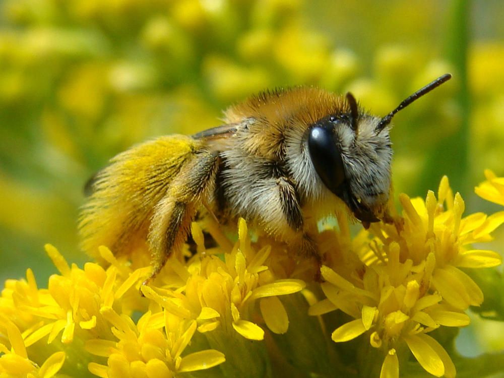 Фотография автора Павел Попов