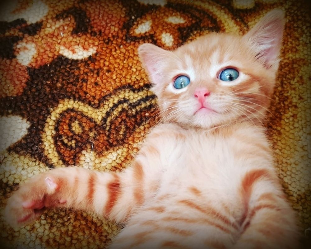 Photograph by Любовь Кочуганова