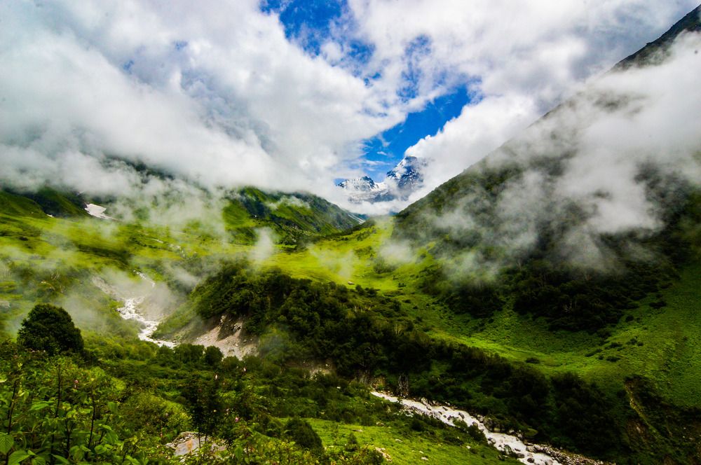 Valley of Flowers
