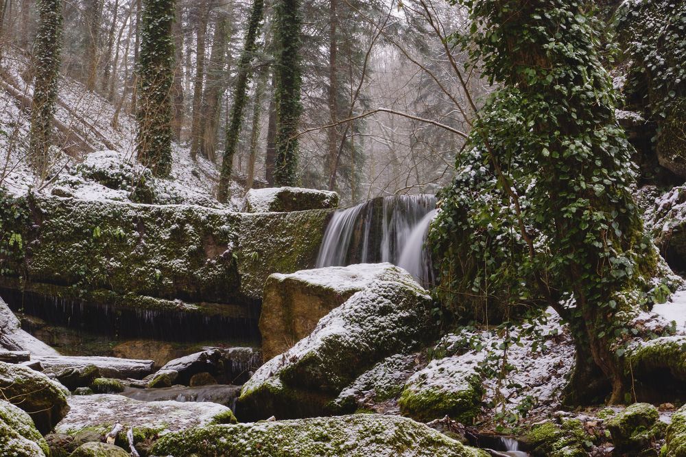 Photograph by Марина Гнедаш