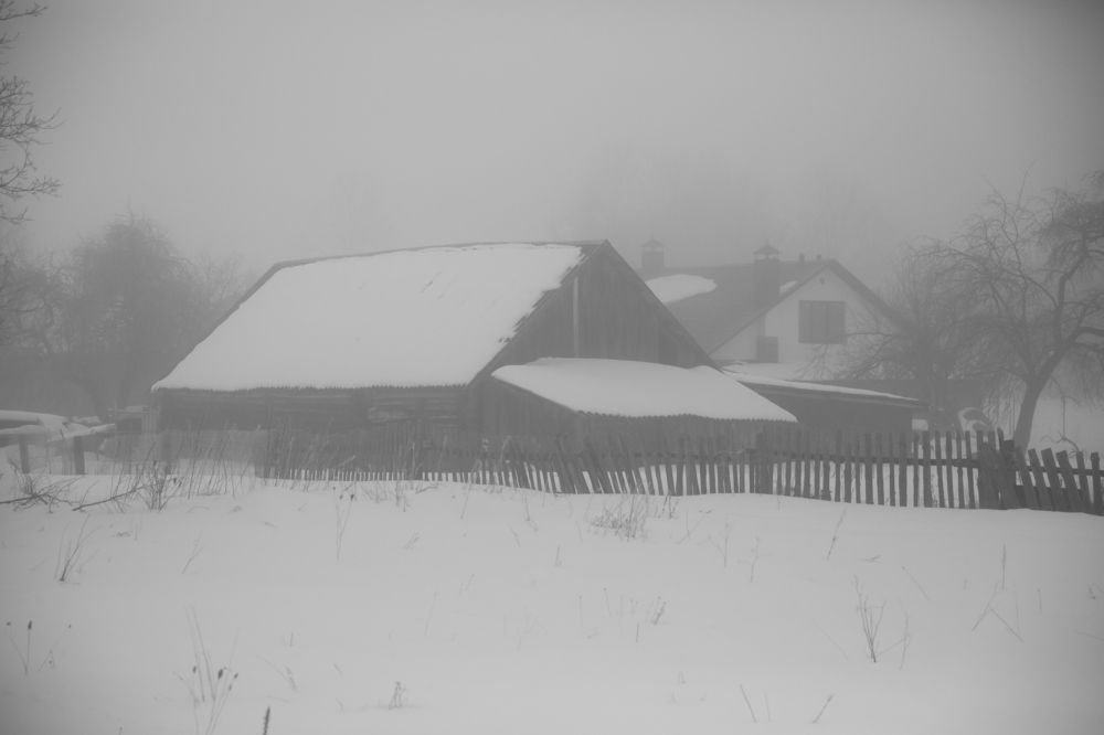Фотография автора Наталья Васько -Черданцева