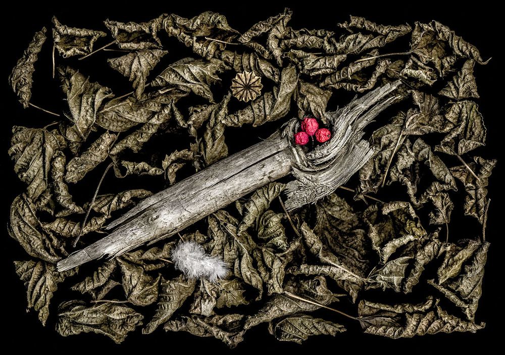 Photograph by Peter Hennig