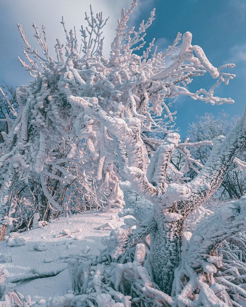 Photograph by Александр