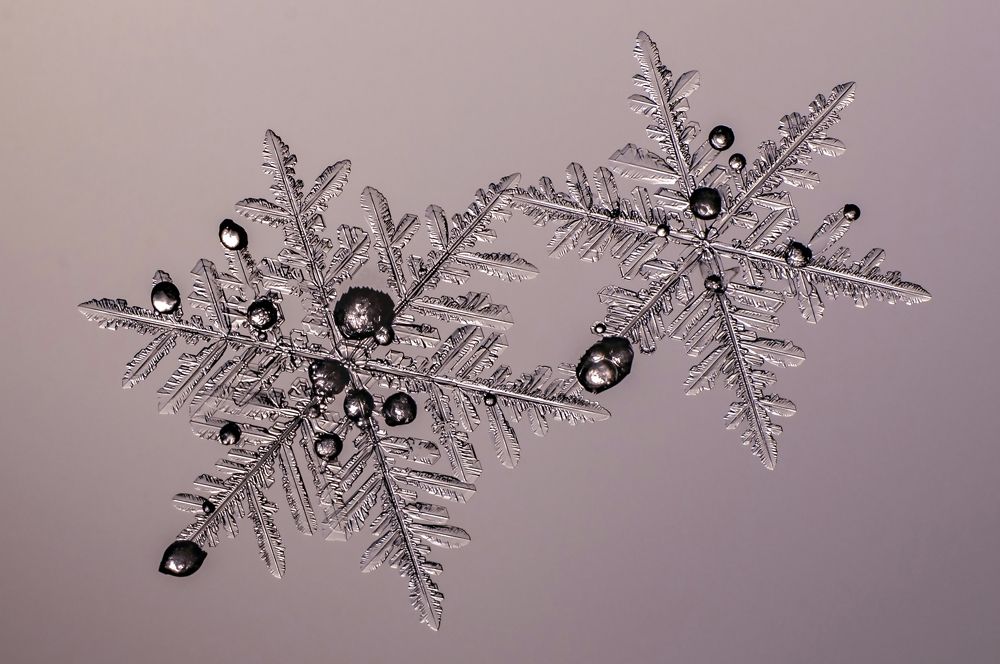 Photograph by андрей захаров