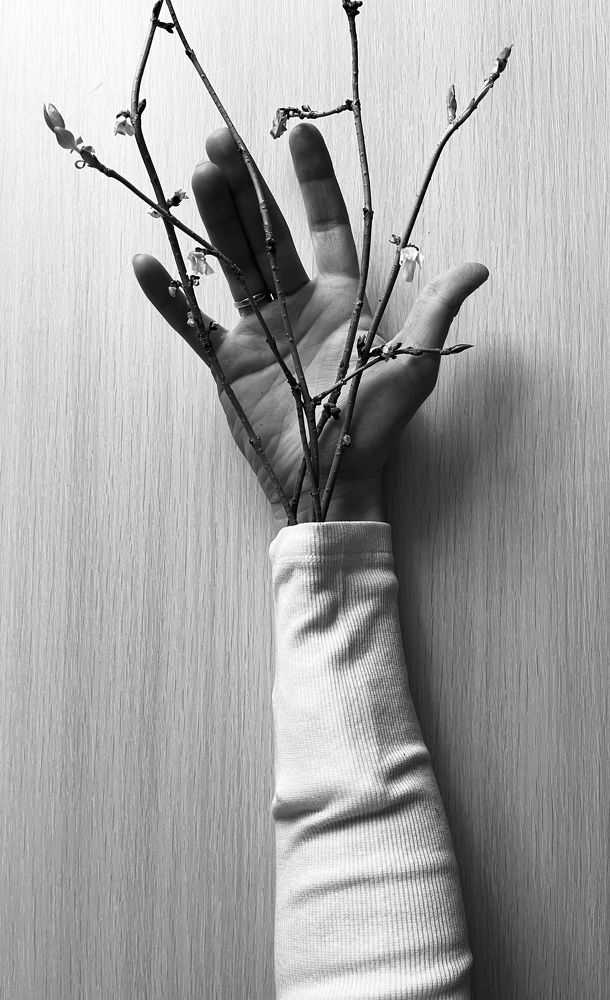 Photograph by Наталья Сергеевна