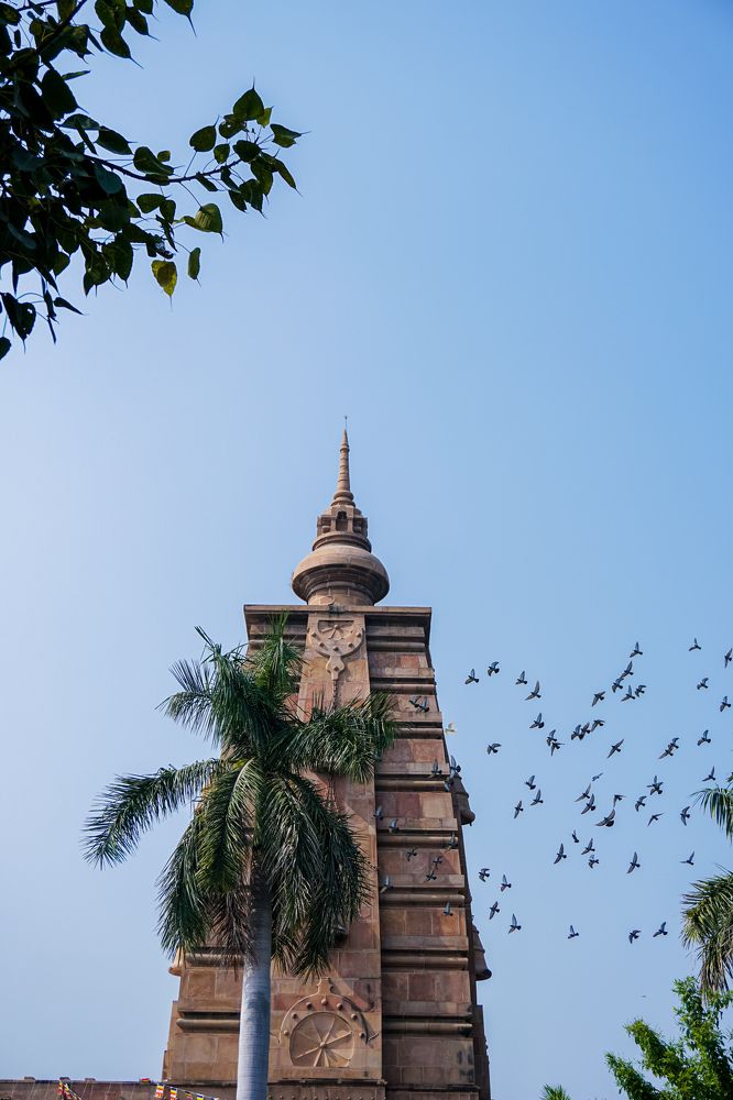 Фотография автора Mridul Chaudhary