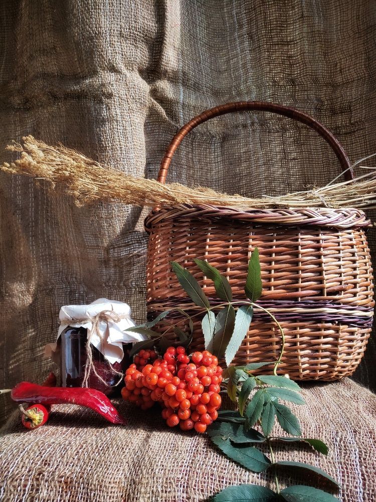 Фотография автора Ольга Игуменова