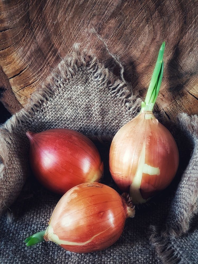 Фотография автора Ольга Игуменова