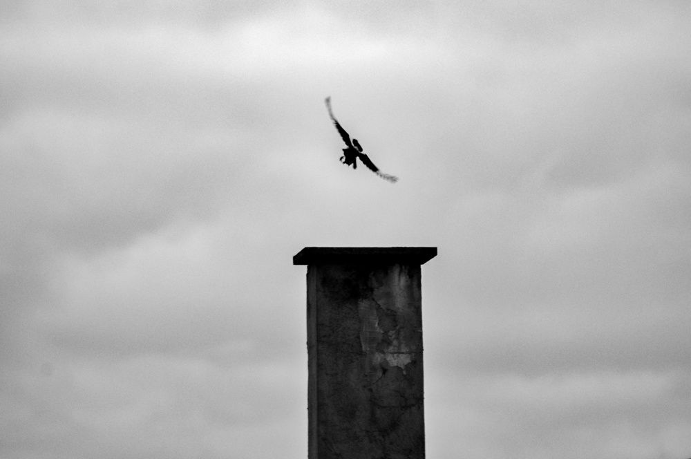 Photograph by Stoyan Baev