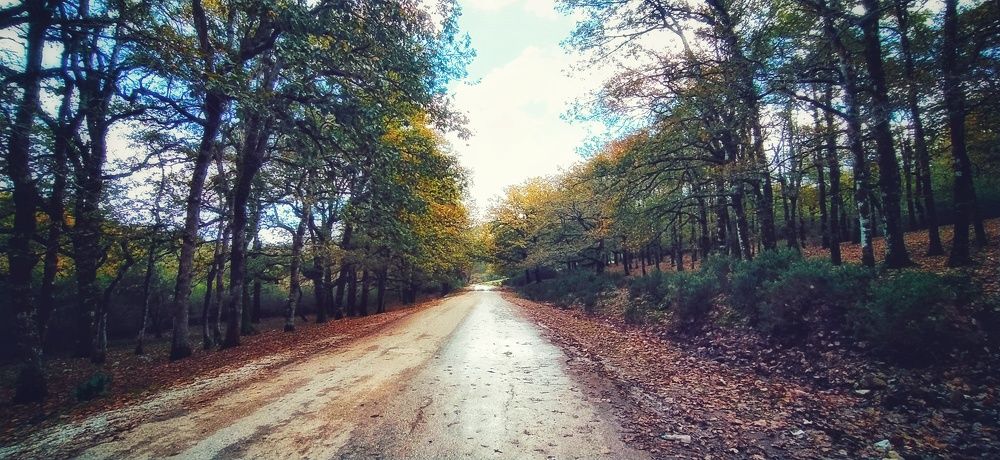 Фотография автора Bacem Boukara