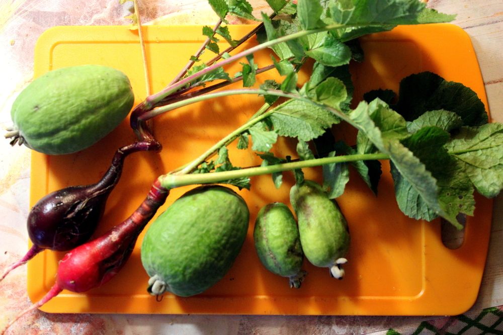 Photograph by Николай Немчанинов