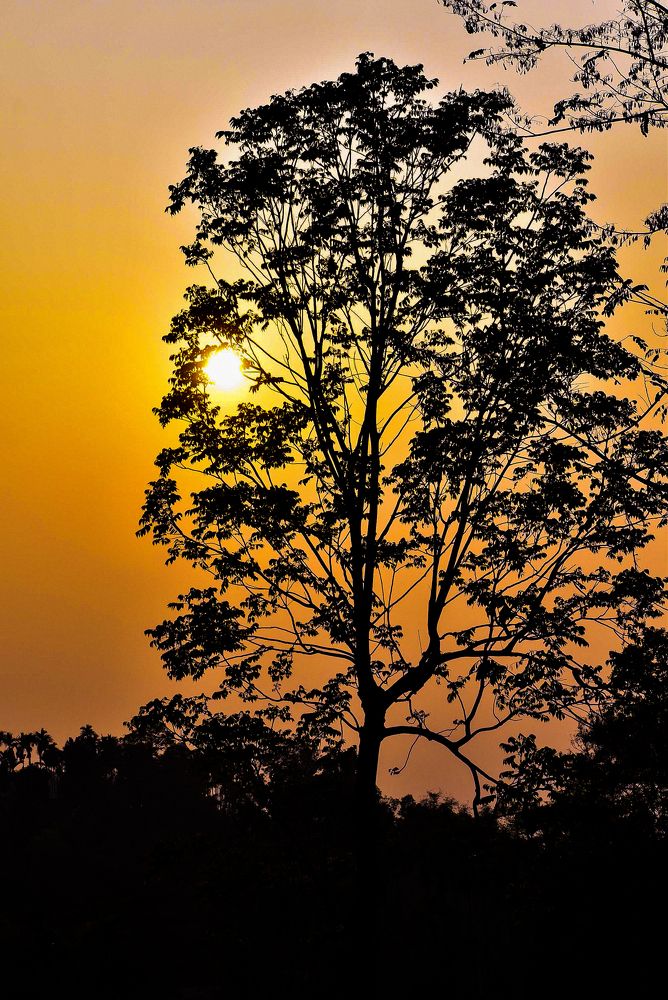 Photograph by Rup Verma