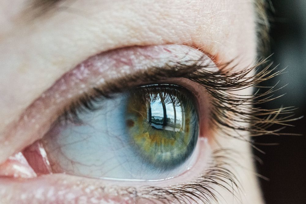 Photograph by Леонид Синев