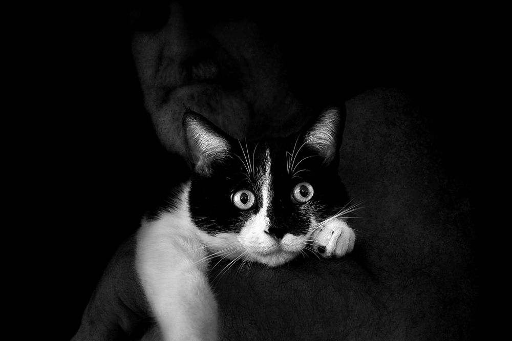 Photograph by Mohammad Dadsetan