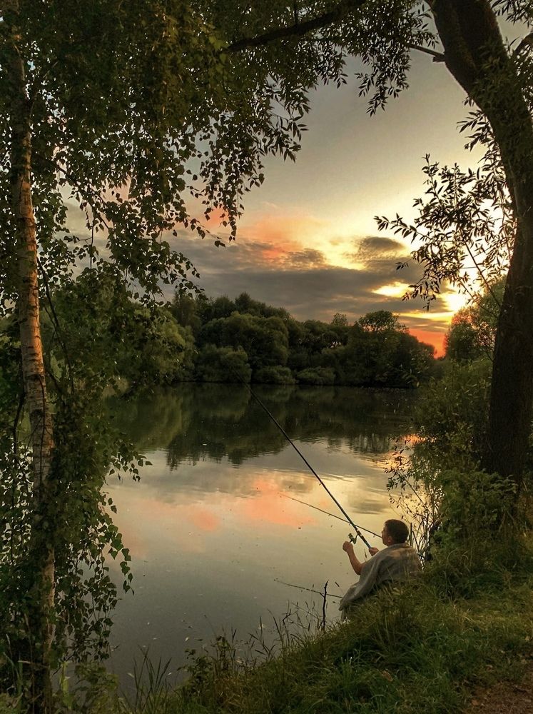 Старый пруд