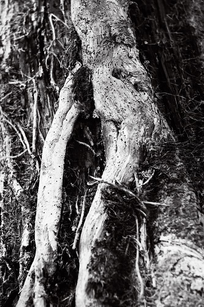 Photograph by Кристина Устян