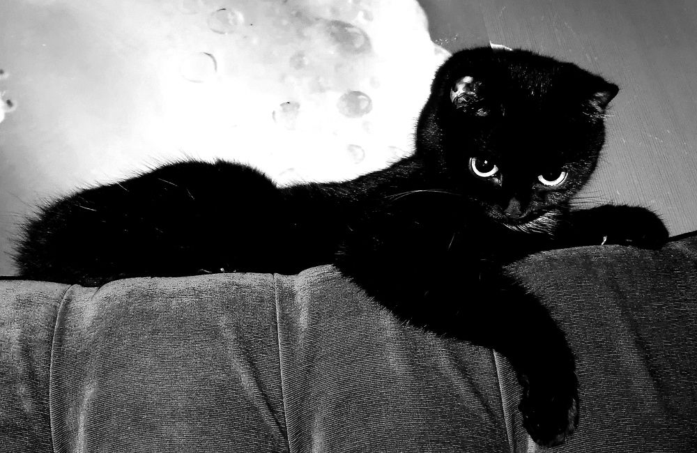 Photograph by Ирина Аверьянова