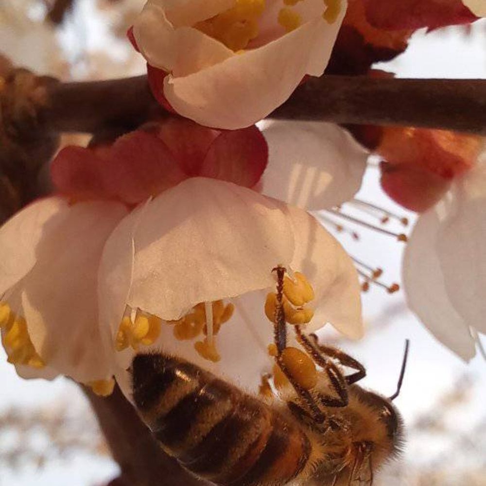 Photograph by Ахрор Холиков