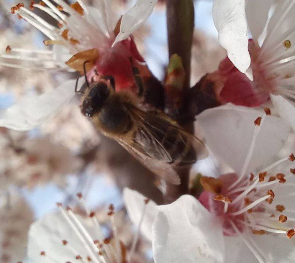 Photograph by Ахрор Холиков