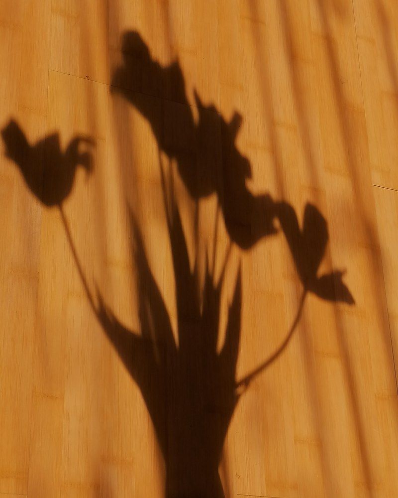 Photograph by Оксана Трофименко