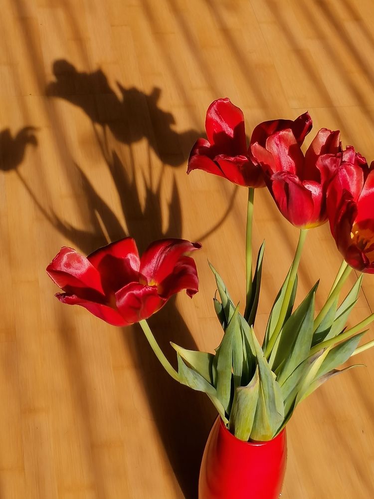 Photograph by Оксана Трофименко