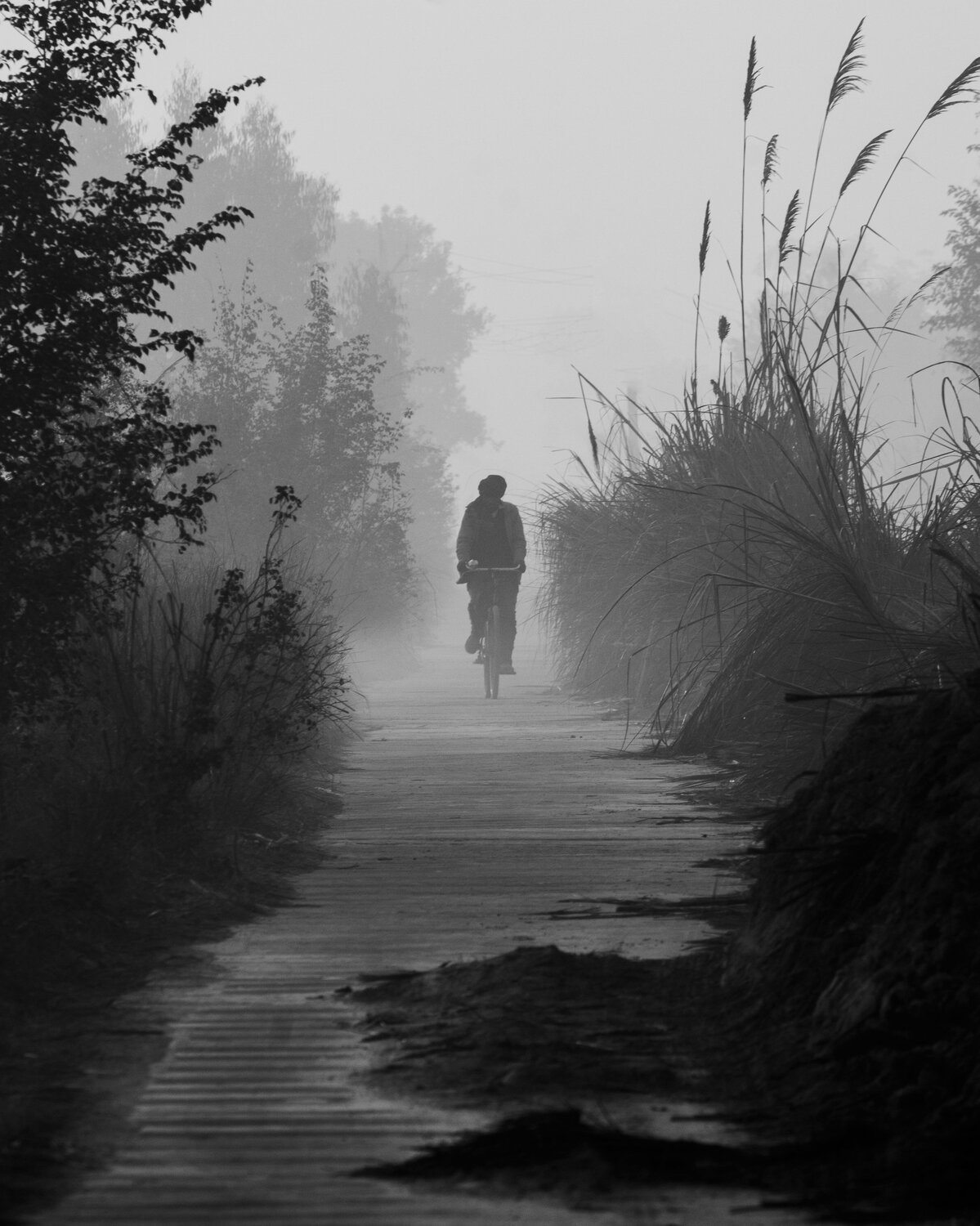 Photo #5959724