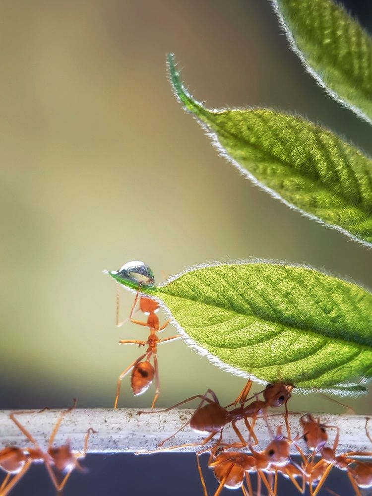 Фотография автора Analiza Daran De Guzman