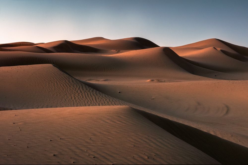 Anna's bay Sand dunes