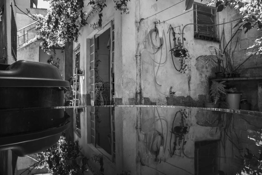 Photograph by Mauricio Bertoni