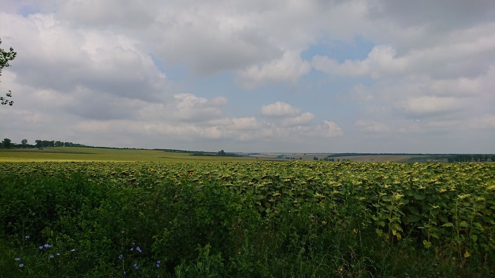 Photograph by Marina Ivanov