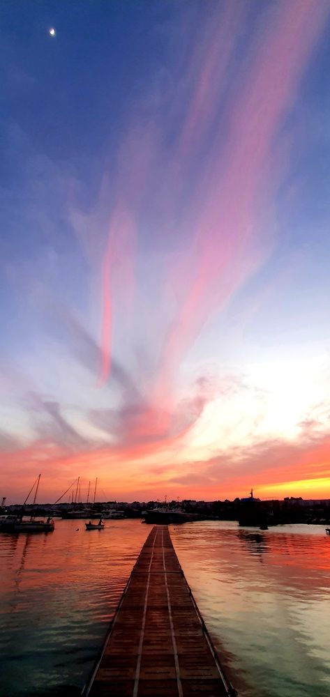 Photograph by MOHAMMED ABDAOUI