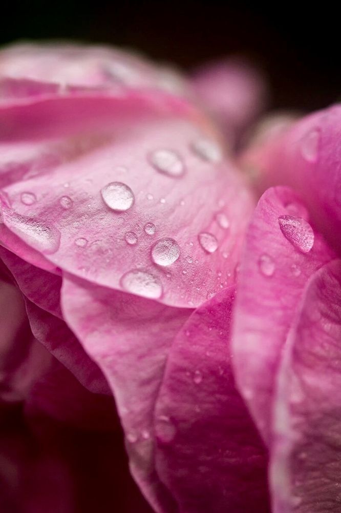 Photograph by Роман Бортник