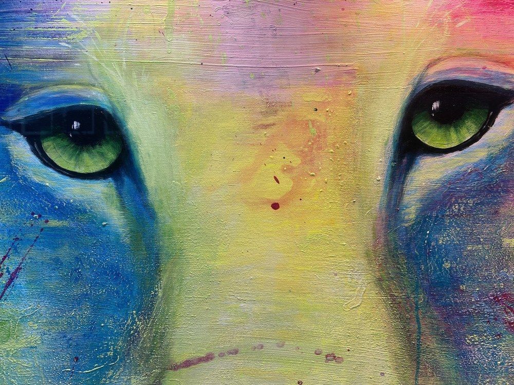 Фотография автора Ramin Ismayilov