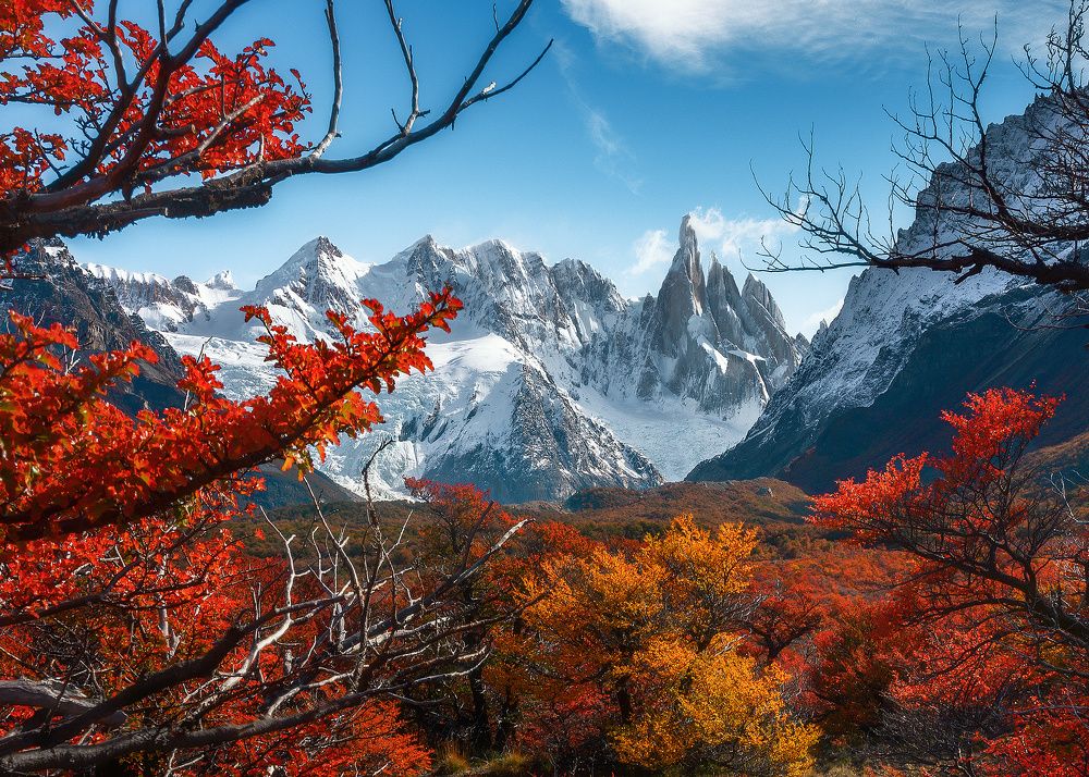Patagonia autumn