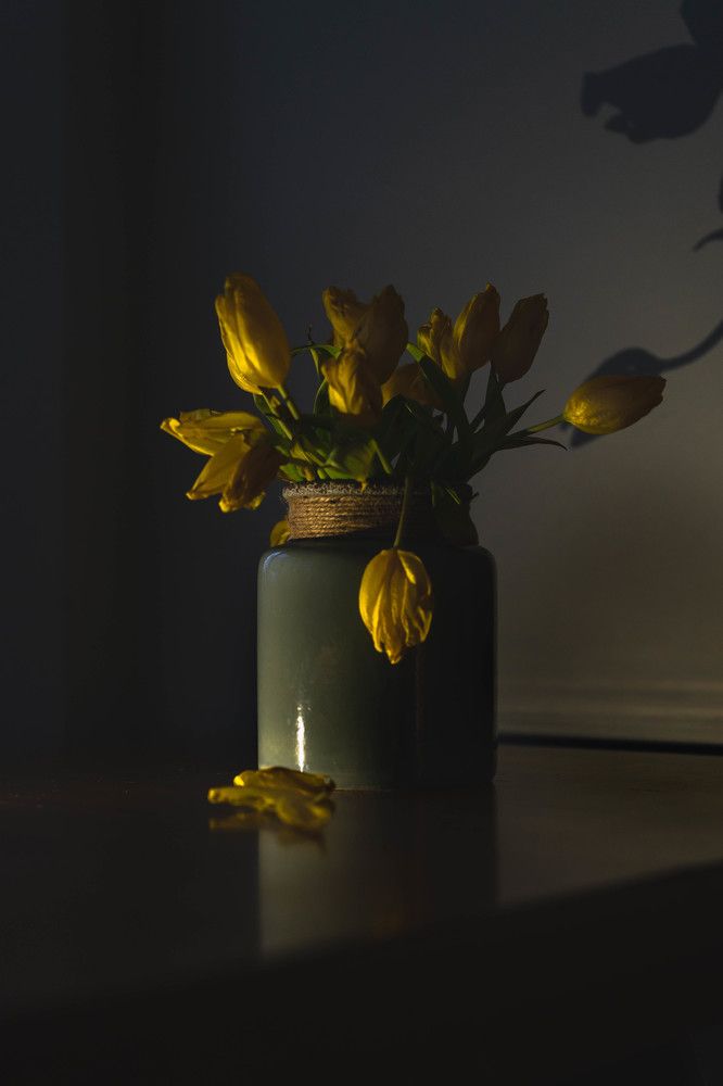 Photograph by Татьяна Трошина