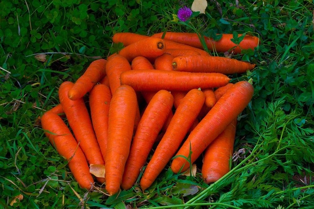 Photograph by Олег Ловцов