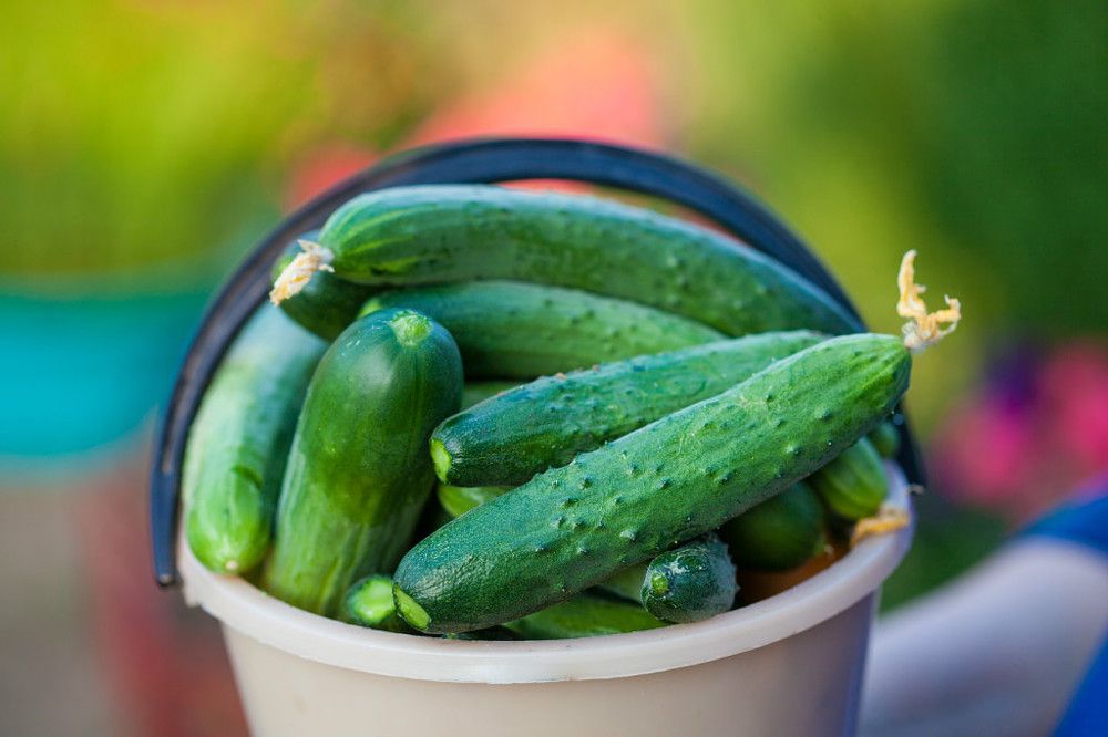 Photograph by Олег Ловцов