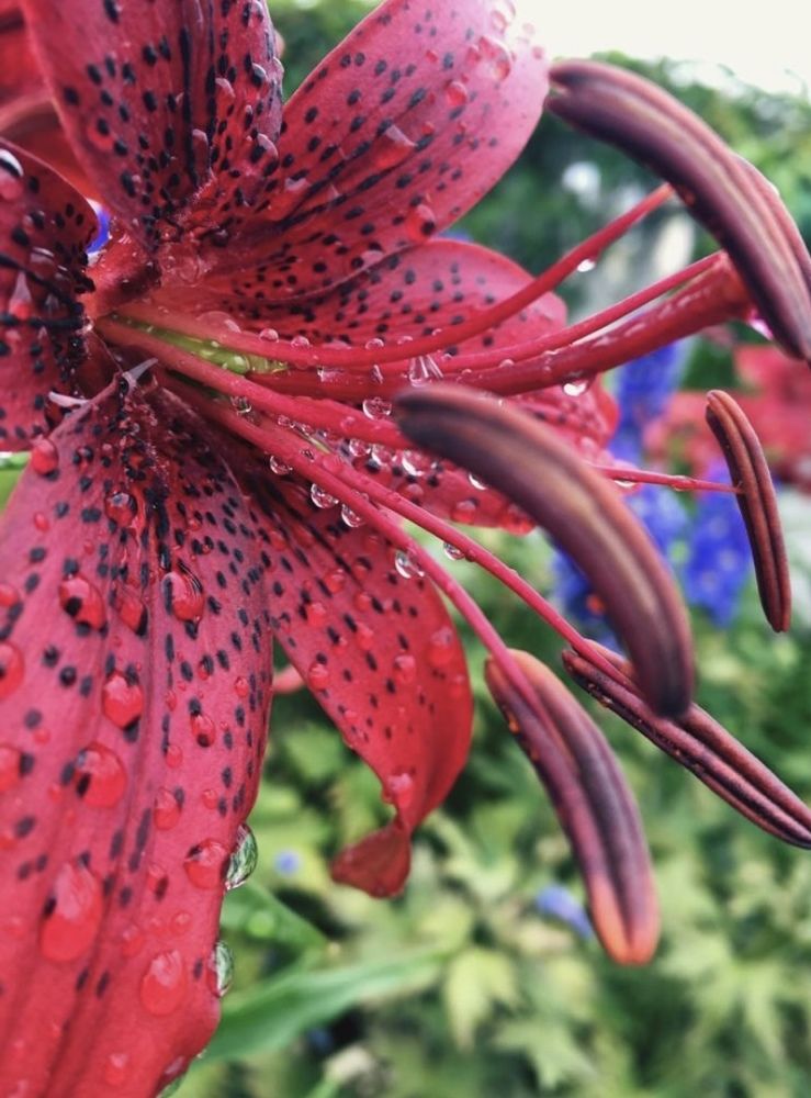 Photograph by Ольга Демашова