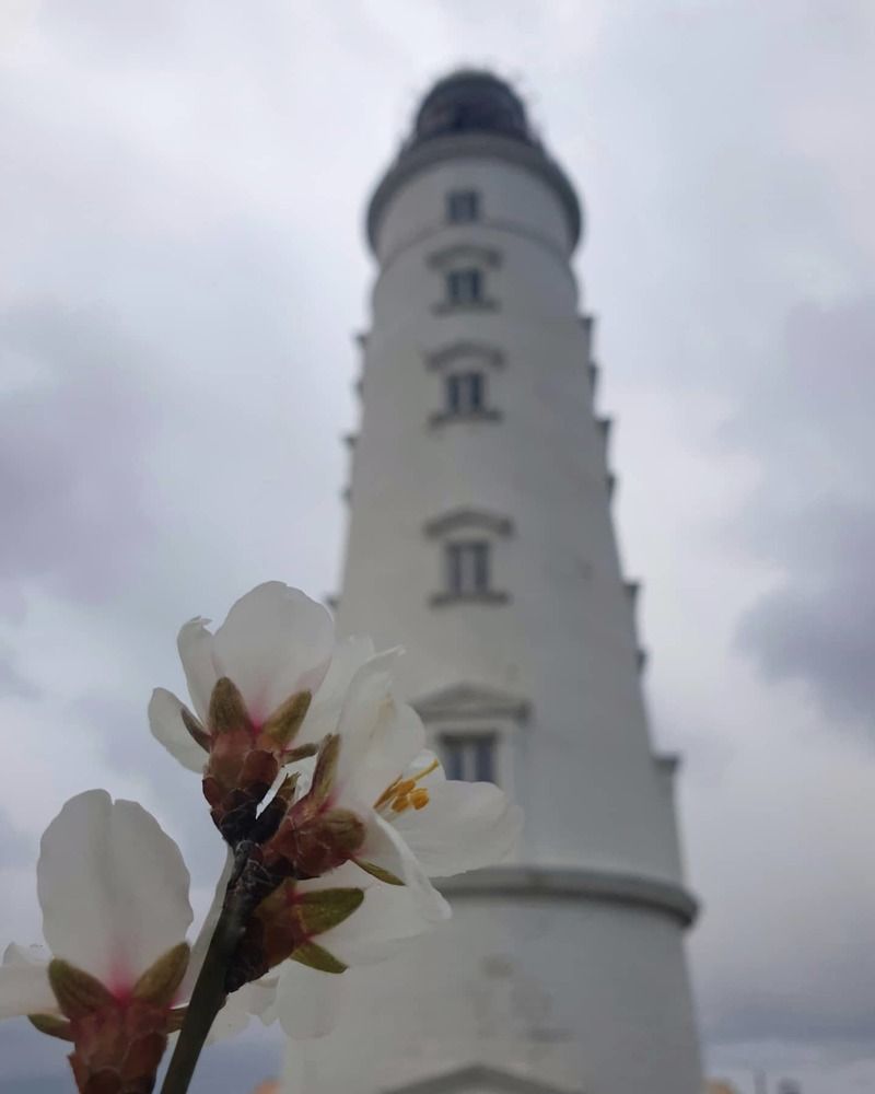 Photograph by Ассоль