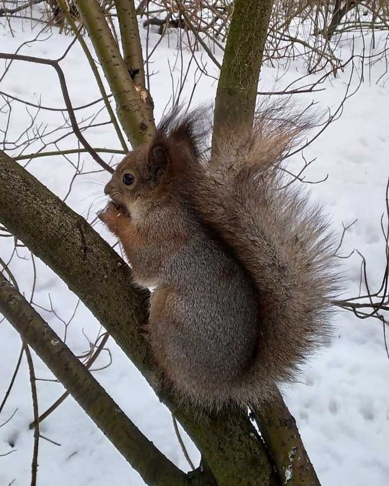 Photograph by Любовь Макарова