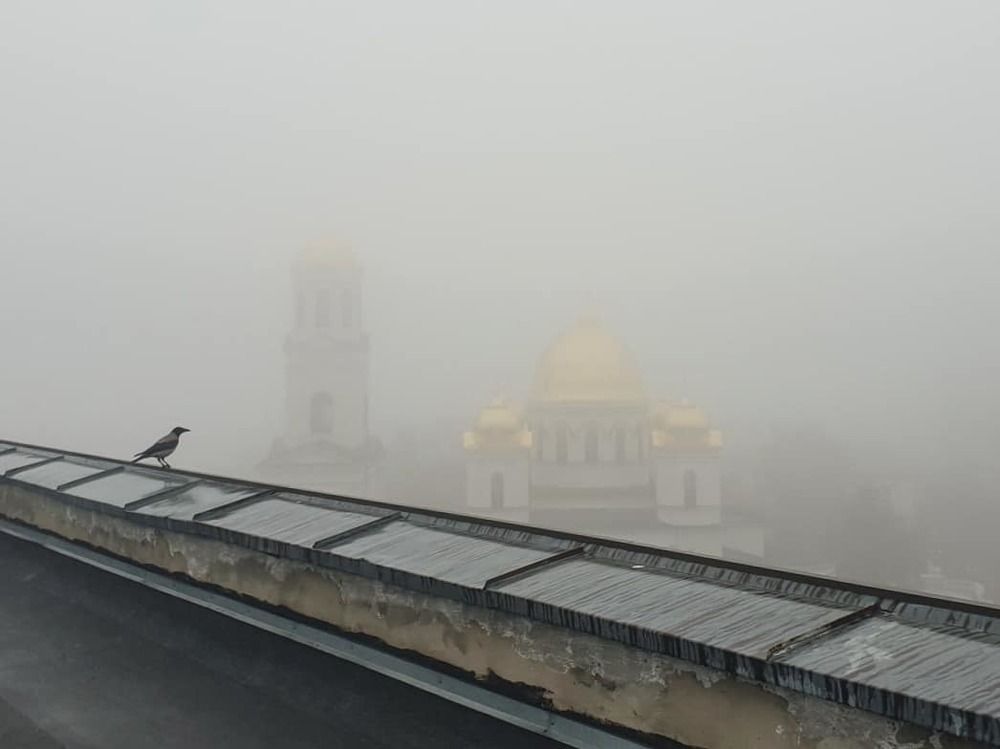 Photograph by Ассоль