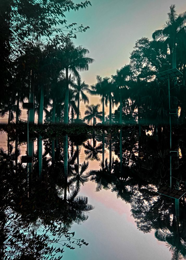 Photograph by ANKIT Sagar